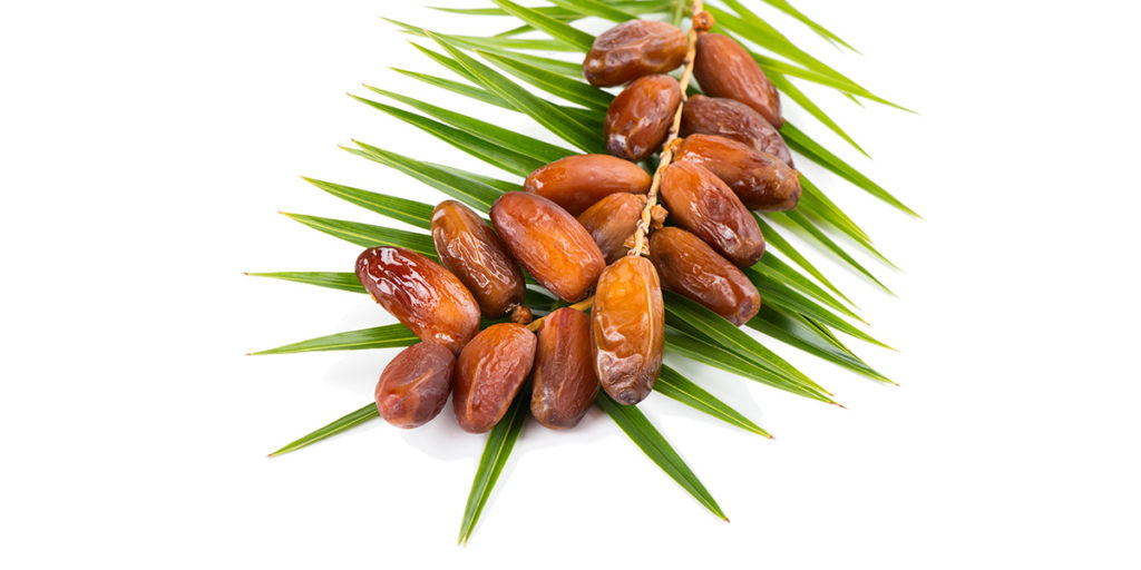How many dates can one date palm produce desert empire palms